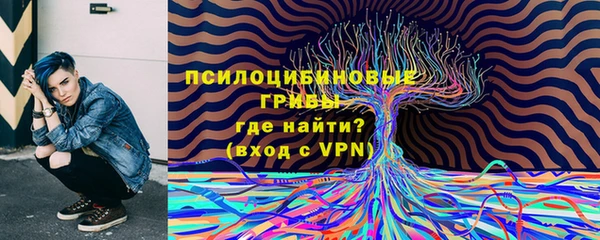 ГАЛЛЮЦИНОГЕННЫЕ ГРИБЫ Армянск