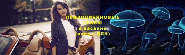 синтетический гашиш Арсеньев