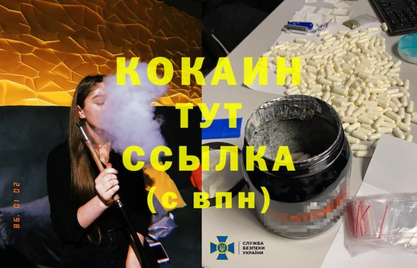 шишки Дмитриев