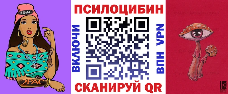 сколько стоит  Покровск  Псилоцибиновые грибы Psilocybe 